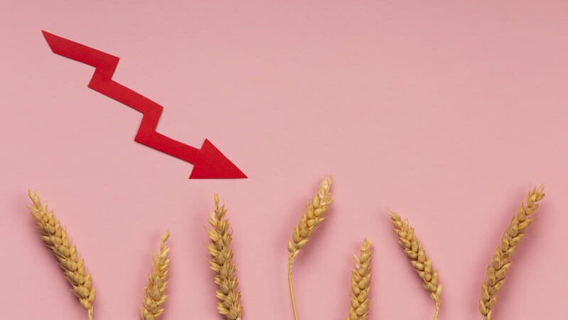 zdjęcie kłosów zboża na różowym tle z czerwonym piorunem