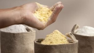 Mąka kukurydziana w dłoni – naturalnie bezglutenowa mąka z kukurydzy, bezpieczna przy diecie bezglutenowej i celiakii