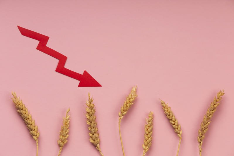 zdjęcie kłosów zboża na różowym tle z czerwonym piorunem 